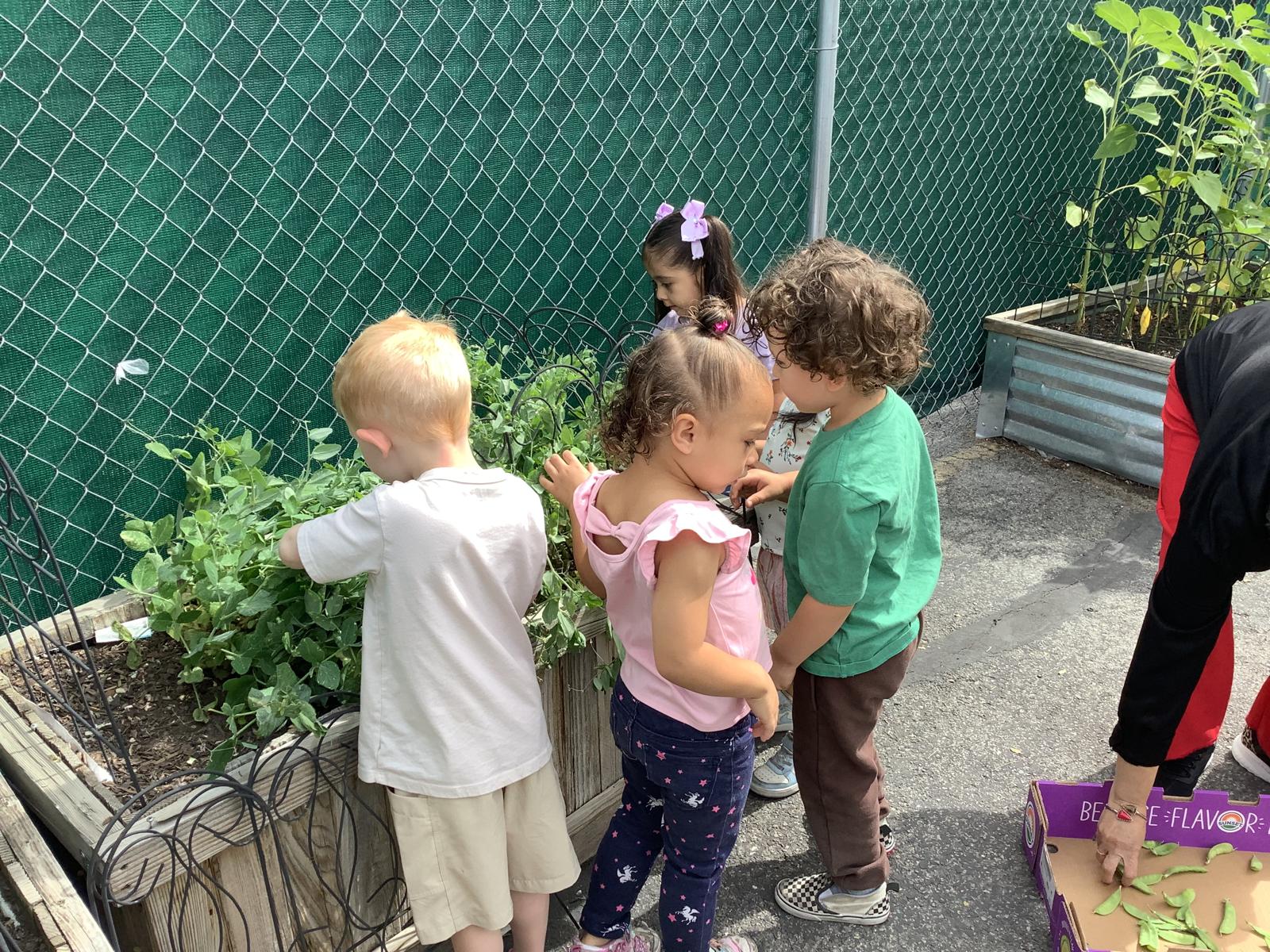 Science Exploration
